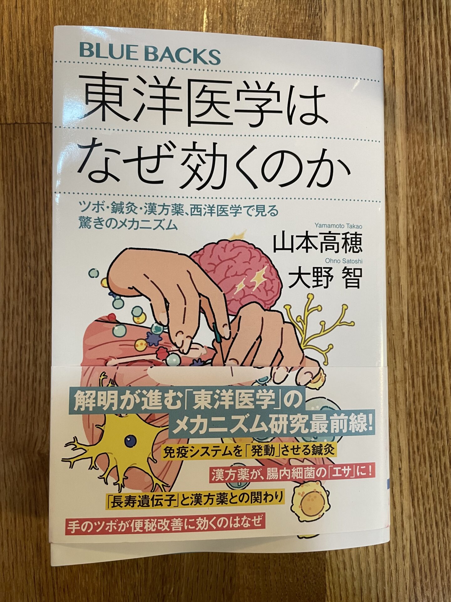 東洋医学はなぜ効くのか